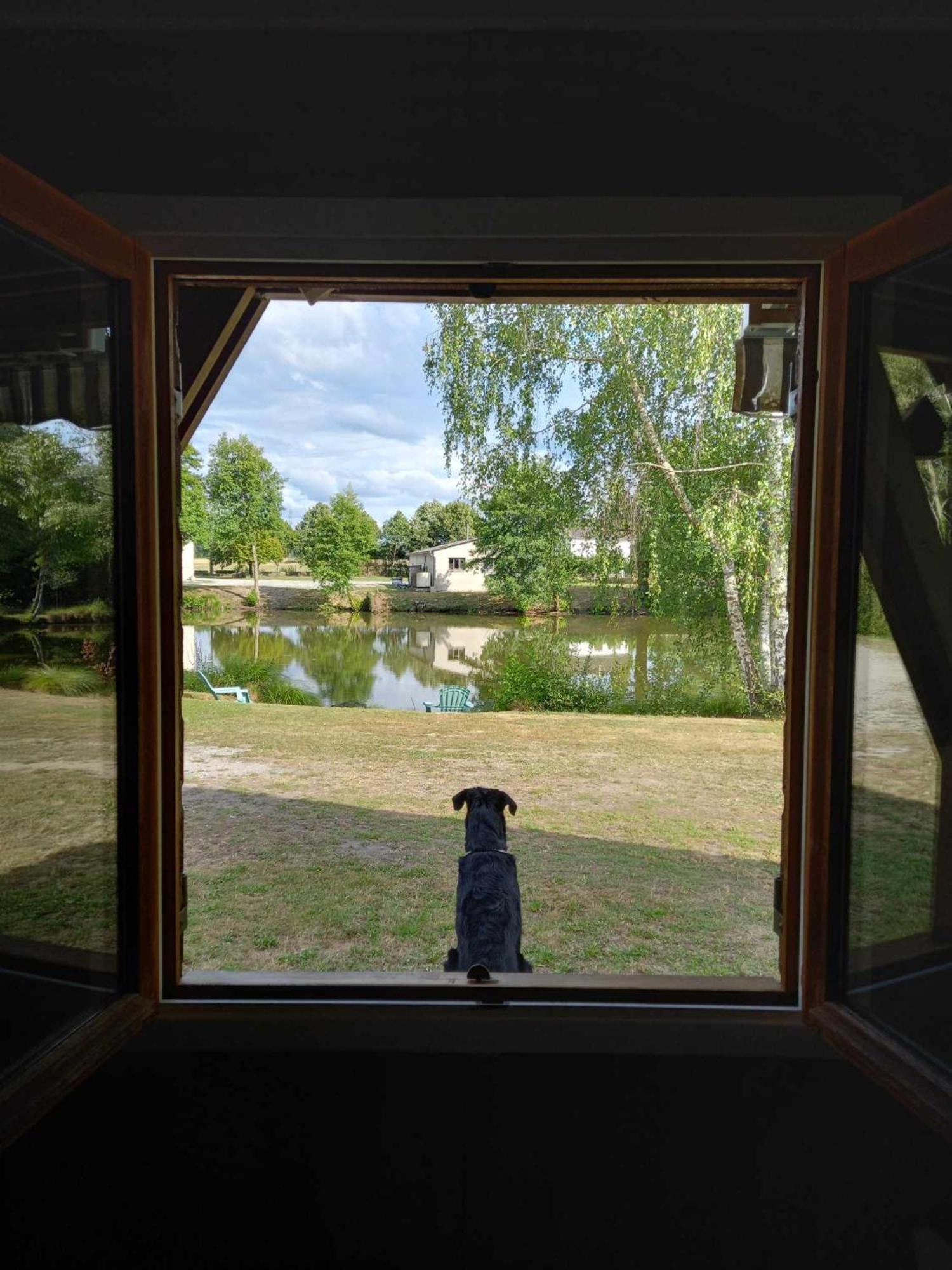 Le Chalet Limousin Folles Esterno foto