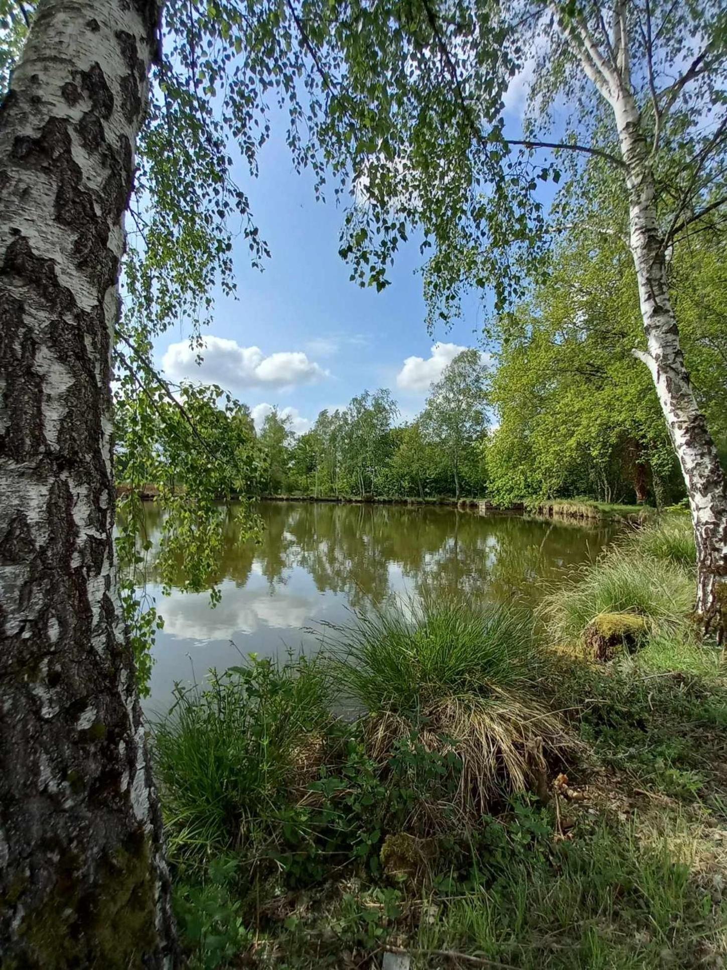Le Chalet Limousin Folles Esterno foto
